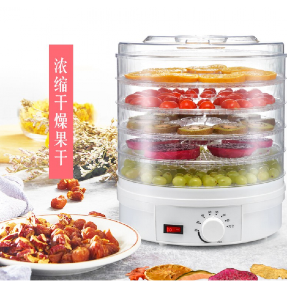 220v 350w Food Dehydrator With 5 Layer Tray