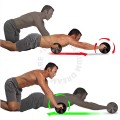 Double Wheeled Abs Roller Abdominal & Stomach Exercise